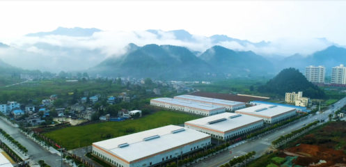 “抹茶之都”铜仁贵茶顺利通过雨林联盟等国际认证