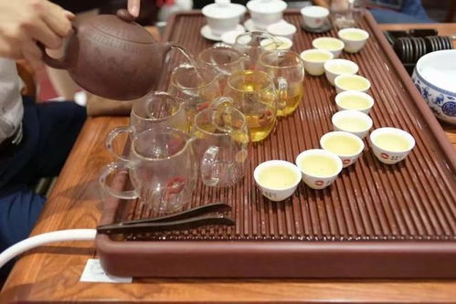 东卓茶业 陆丰站 2018明星 珠玑