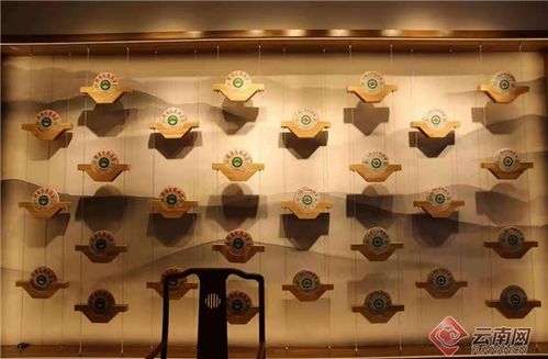 品茶香 知茶趣 云垦茶业集团首家线下体验店开业