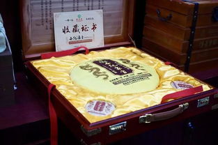 干货来了 老马帮茶业历年经典产品大起底,你会pick哪一款