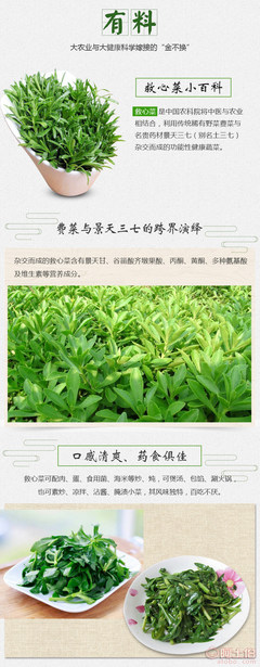 【农产品救心菜茶批发 救心菜深湖北加工厂家