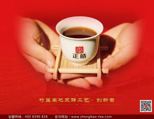 皓 茶已备好,与你相约全球茶业第一展