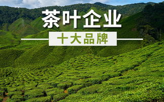 茶业十大品牌 茶业公司知名品牌 茶叶企业排名 十大品牌网