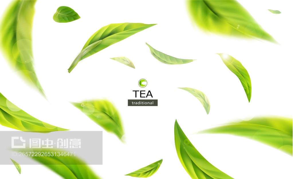 绿茶叶插图 illustration with green tea leaves