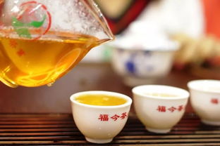 广州茶博第四天 诗和远方 近在咫尺