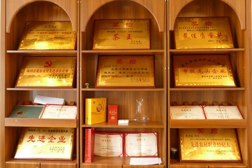 凤冈茶产业系列报道之⑦洪成茶业再造一个 云上