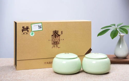 专业采购指南 第八届西部茶博会优选展商之陕西展团篇