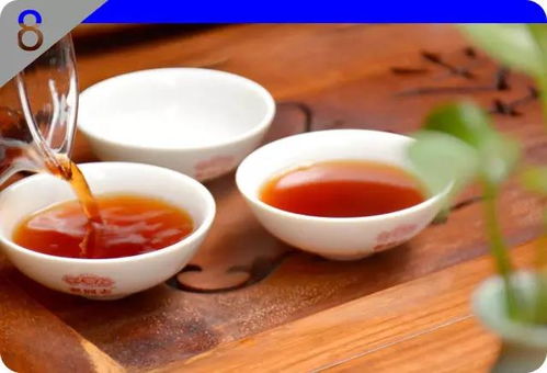 朝仙茶业普洱茶原料供应商 哪家公司