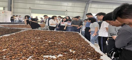 贵池区涓桥镇打好业态“组合牌” 加快推进农业高质量发展_中安在线