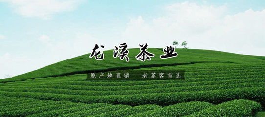 四川龙溪茶业