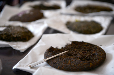 幽幽茶香满春山,走近七彩云南普洱茶