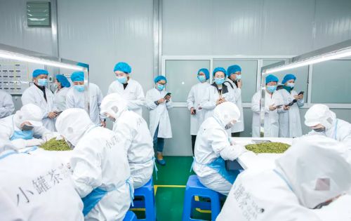 品春茶,透本质!小罐茶带来360°的全“心”感受!