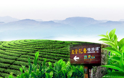 第九届海峡两岸茶业博览会将在福建武夷山举行