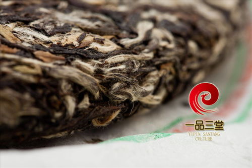 瑞达茶业 福鼎白茶 新工艺白茶饼370克 rdcy xgyb