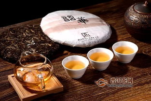 巅茶茶业 之韶华