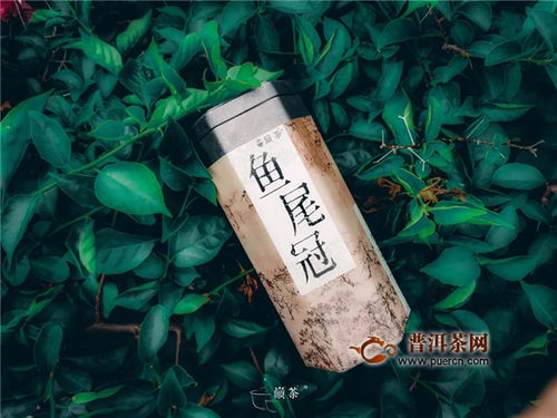 巅茶茶业 你还在喝枸杞水嘛 out啦