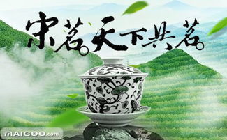 浙江茶业品牌 浙江茶业厂家 浙江有哪些茶业品牌