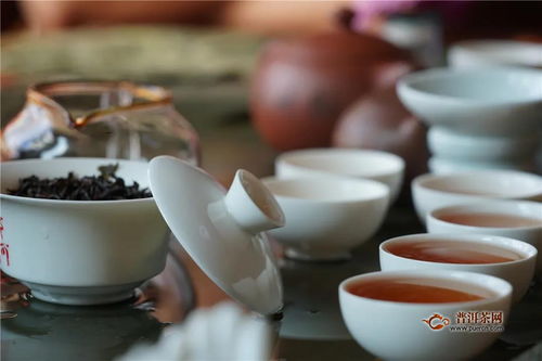 一球茶业 掌握醒茶核心技术,让你的普洱好喝百倍