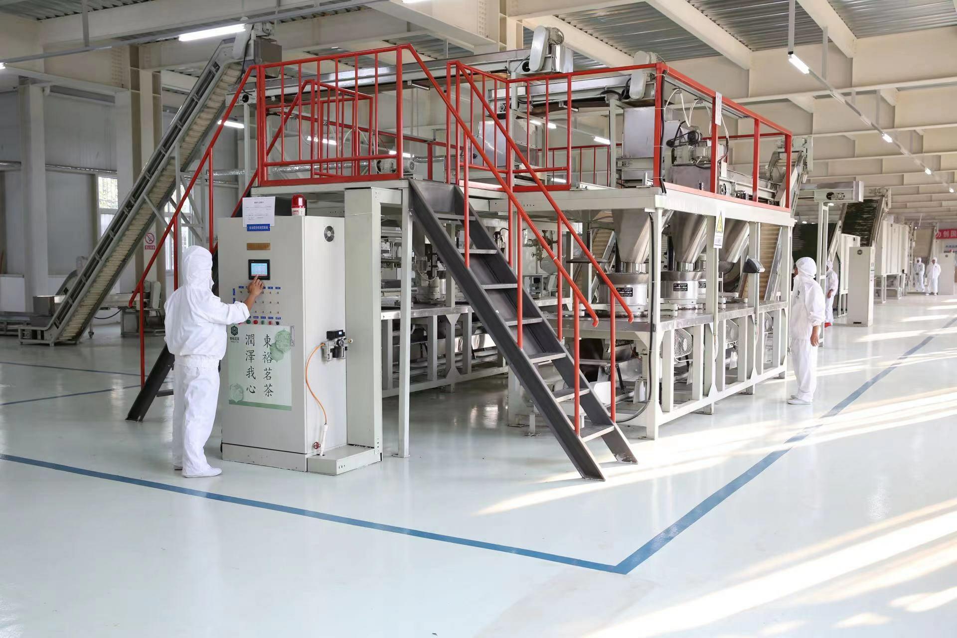 2023中国最美茶乡西乡汉中仙毫开采 拉开陕西春茶上市序幕