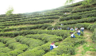 流金岁月 2015年08月 第1期目录