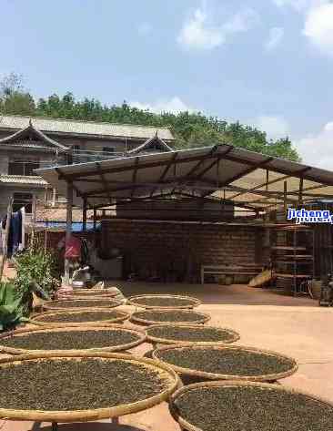 昆明普洱茶厂列表 全方位了解优质茶叶生产厂家及其产品特点