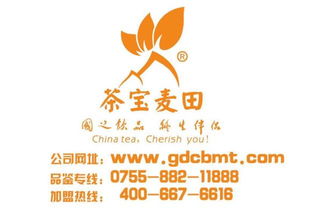 相似度99 的十大男星替身 周润发刘德华成龙