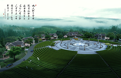 湖南官庄干发茶业_碣滩官庄系列茶_红茶