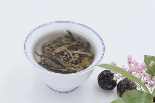 湘潭茶业整合行业招商运营资源的专业平台