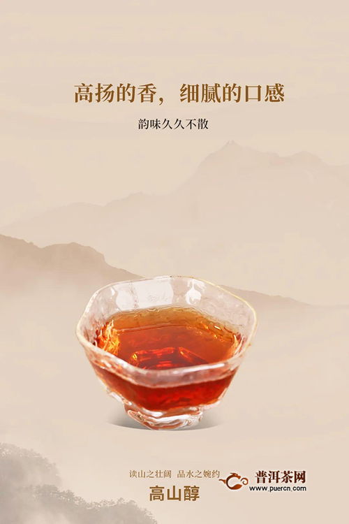 海湾茶业老同志2019年高山醇上市