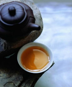 九牧茶叶 产品 产品介绍 最新产品信息